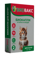 ДМ-00006107