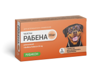 ДМ-00008247