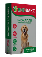 ДМ-00006297