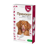 ДМ-00006613