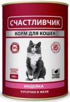 ДМ-00004919