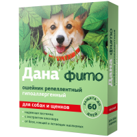 ДМ-00006670