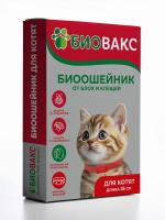 ДМ-00005354