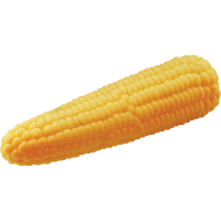 УТ000673029
