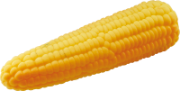 УТ000118252
