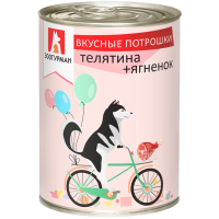 ДМ-00006408