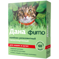 ДМ-00006667