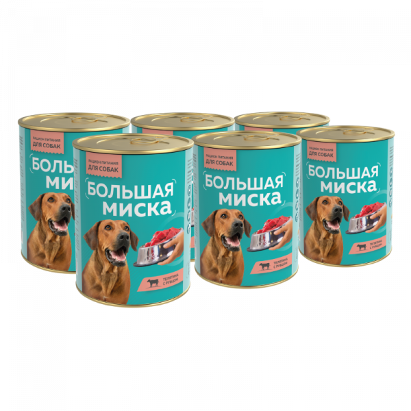 ДМ-00006493++