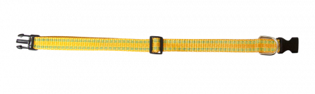 ДМ-00000474++