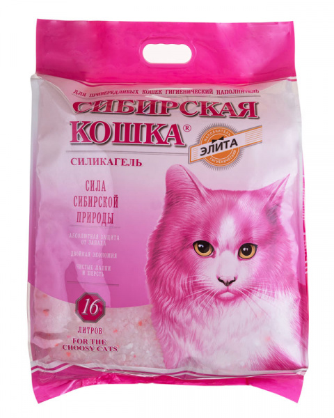 ДМ-00003386+