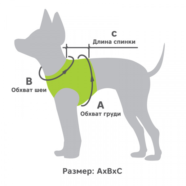 ДМ-00004371++++++