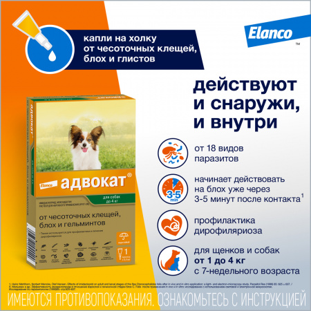 УТ000132131+