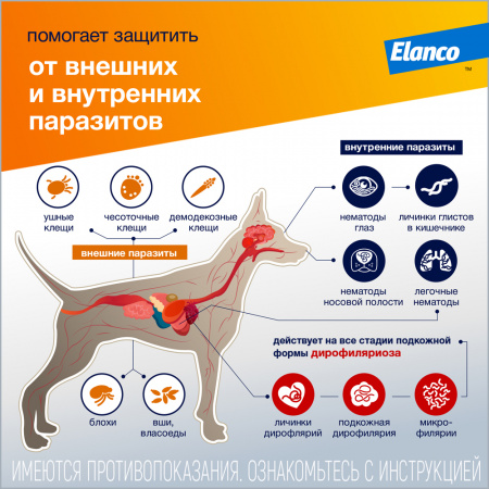 УТ000132131++